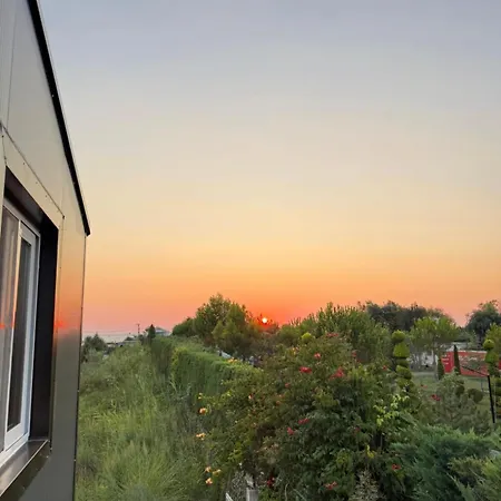 Luka, Tale * Lezhë